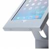 iPad Slimcase Counter - 1