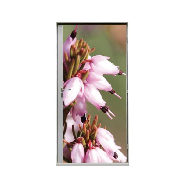 Door Wrap Pink Flower Erica