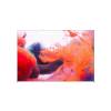 FlexFrame Wall Set 100 x 200 cm Black - 97