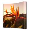 Pop-Up Magnetic Curved 2 x 3 - 0