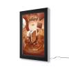 LED Outdoor Premium Poster Case - 2