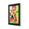 Outdoor Premium Poster Case - 0
