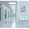 Indoor Lockable Showcase 8 x A4 Anthracite - 48