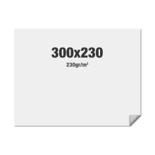 FlexFrame Wall Graphic 300 x 230 cm