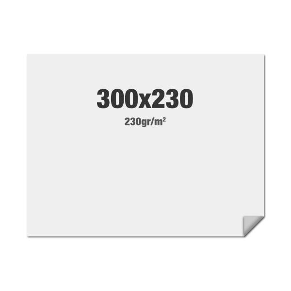 FlexFrame Wall Graphic 300 x 230 cm
