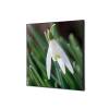 Textile Wall Decoration SET 40 x 40 cm White Flower Snowdrop - 0