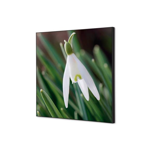 Textile Wall Decoration SET 40 x 40 cm White Flower Snowdrop