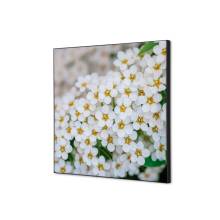 Textile Wall Decoration White Flower Spirea Textile Wall Decoration White Flower Spirea