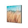 Size: 400 x 400 mm Textile Wall Decoration Grain Field - 0
