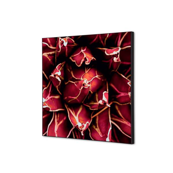 Textile Wall Decoration SET 40 x 40 cm Cactus Red