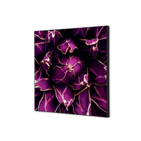 Textile Wall Decoration SET 40 x 40 cm Cactus Purple
