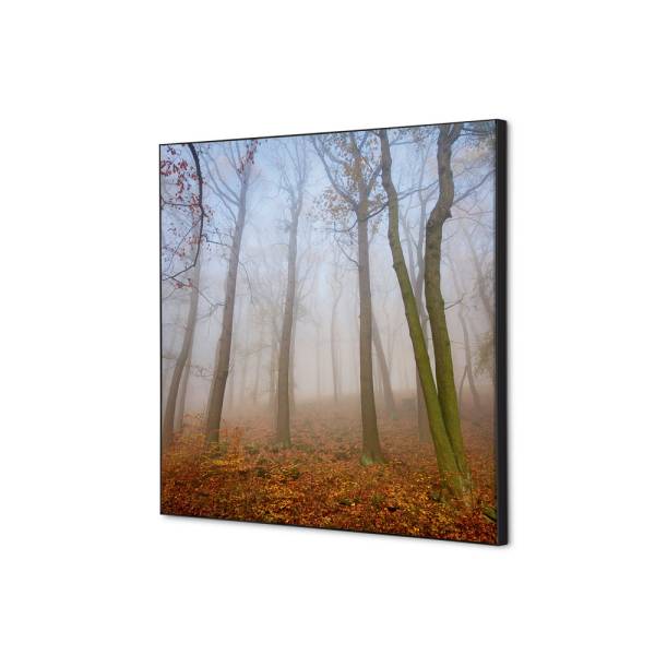 Textile Wall Decoration SET 40 x 40 cm Autumn Mist