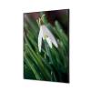Textile Wall Decoration SET 40 x 40 cm White Flower Snowdrop - 1