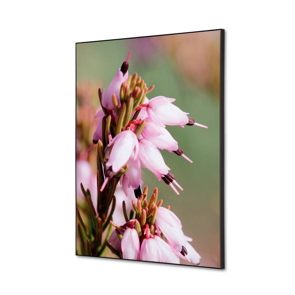 Spannstoff Wanddekoration SET A2 Pinke Blume Erica – Ansicht 2