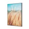 Textile Wall Decoration SET 40 x 40 cm Grain Field - 1