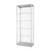 Glass Showcase Illuminated Double Door 80 x 40 x 200 cm - 2