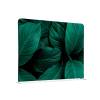 Textile Room Basic Divider Botanial Green Leaves - 0