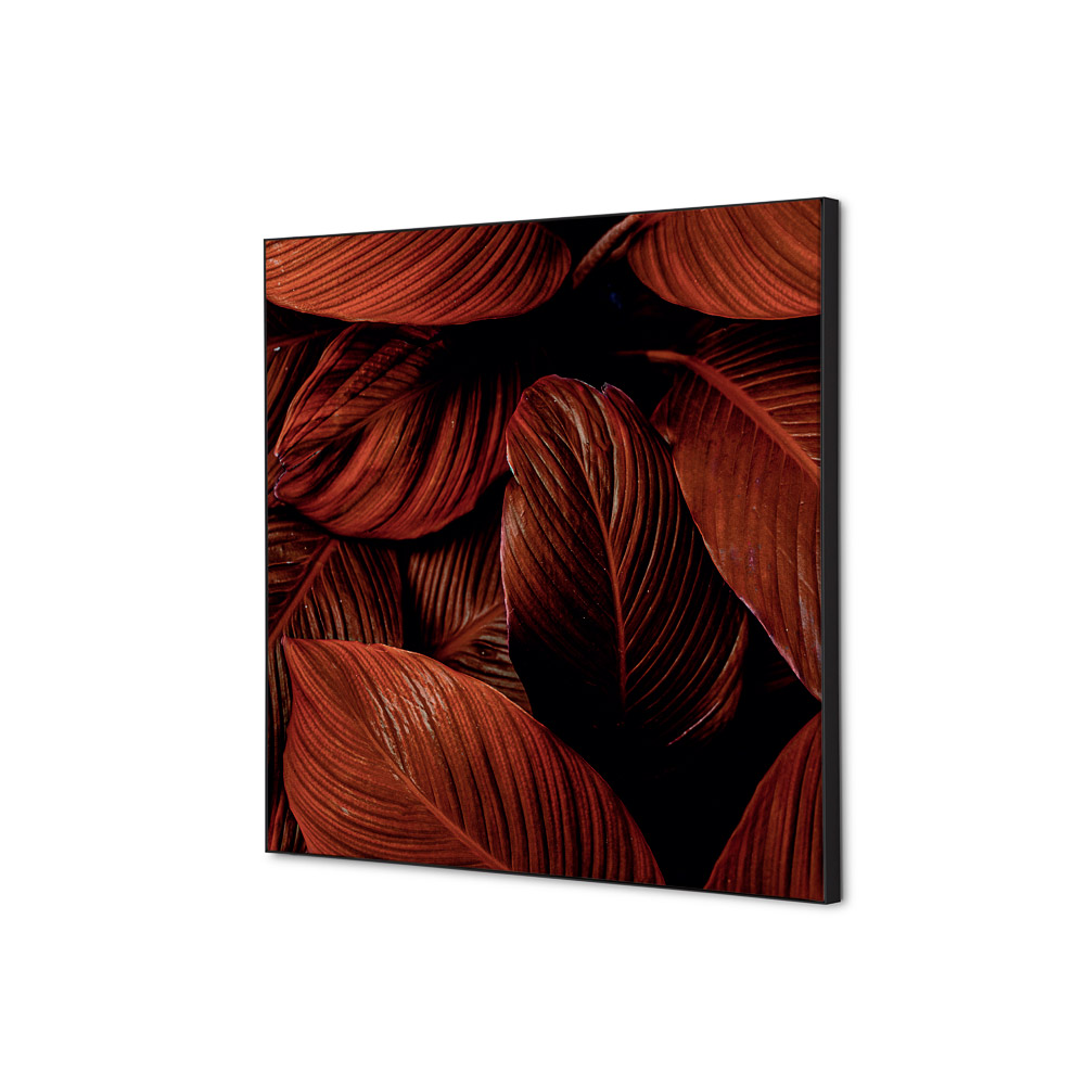 Spannstoff Wanddekoration Set 40 x 40 cm Botanische Blätter Rot