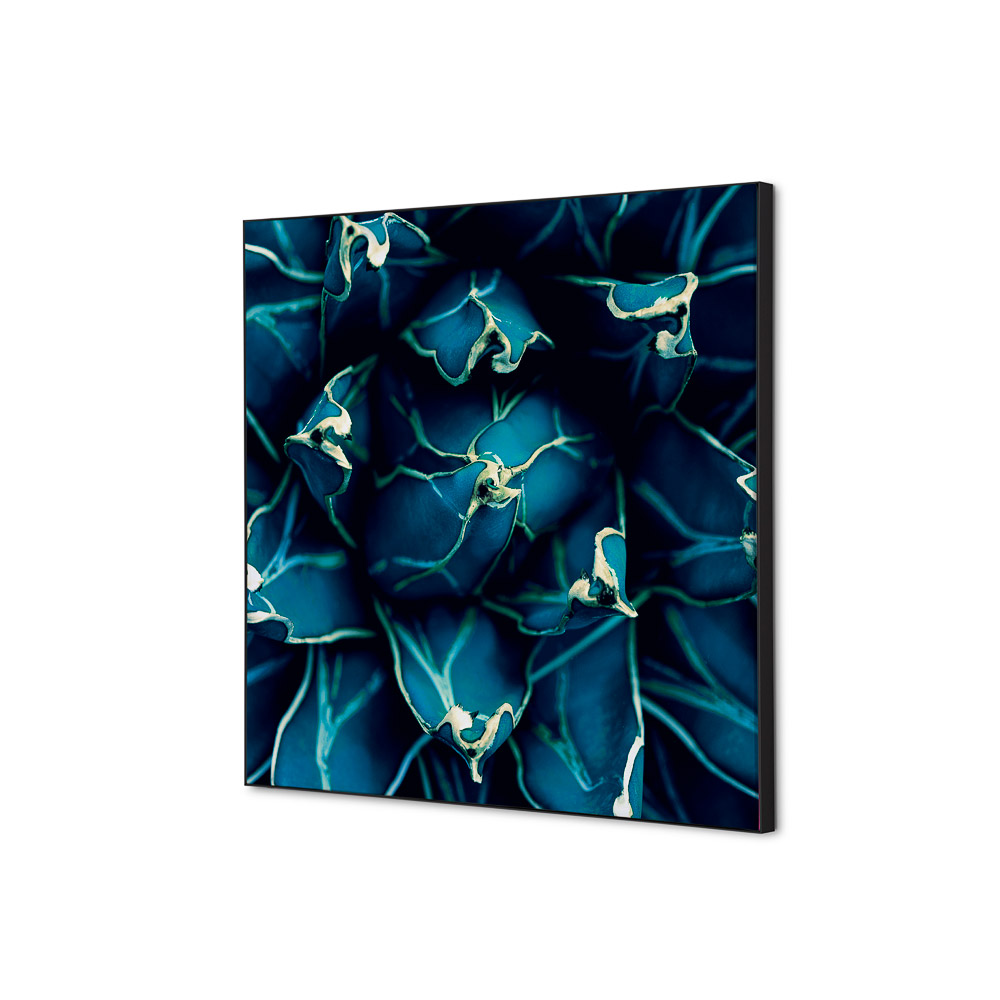 Spannstoff Wanddekoration Set 40 x 40 cm Kaktus Blau